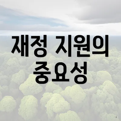 재정 지원의 중요성