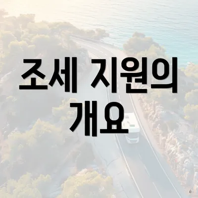 조세 지원의 개요