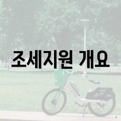 조세지원 개요