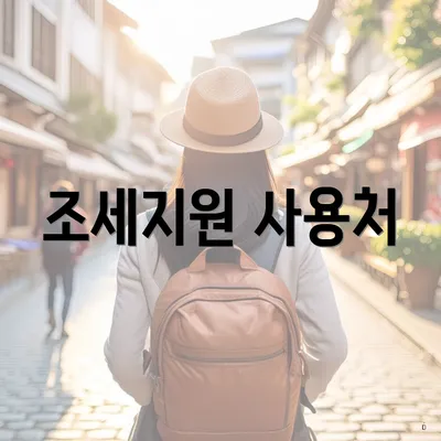 조세지원 사용처