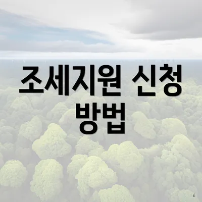 조세지원 신청 방법