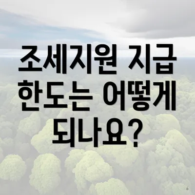 조세지원 지급 한도는 어떻게 되나요?