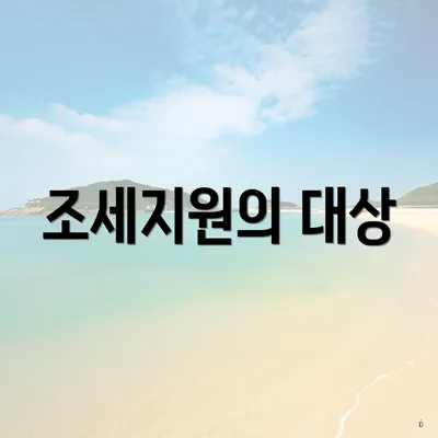 조세지원의 대상