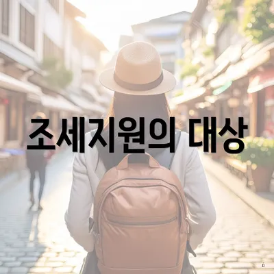 조세지원의 대상