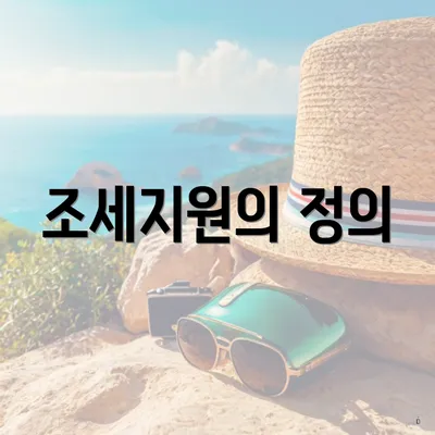 조세지원의 정의