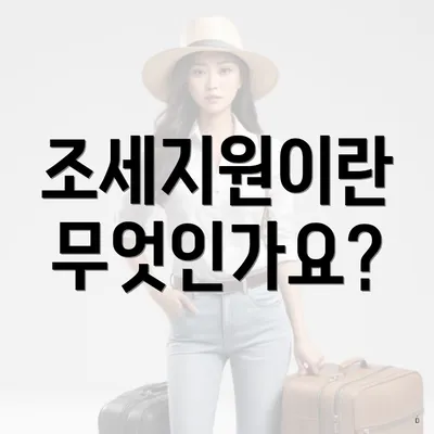조세지원이란 무엇인가요?