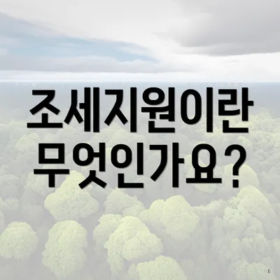 조세지원이란 무엇인가요?