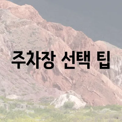 주차장 선택 팁