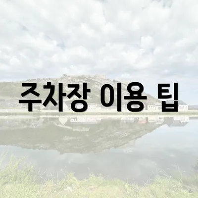 주차장 이용 팁