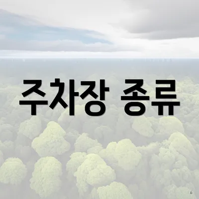주차장 종류