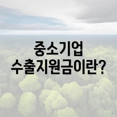 중소기업 수출지원금이란?