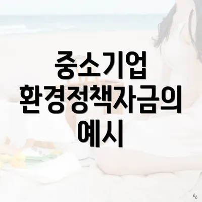 중소기업 환경정책자금의 예시