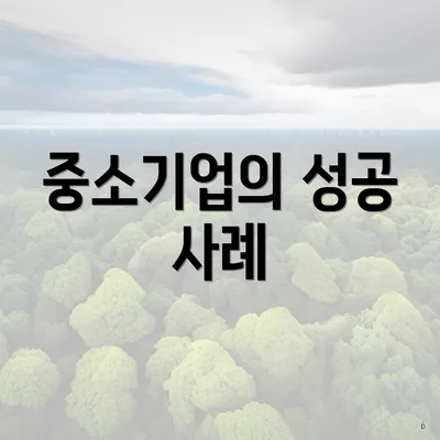 중소기업의 성공 사례