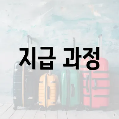 지급 과정