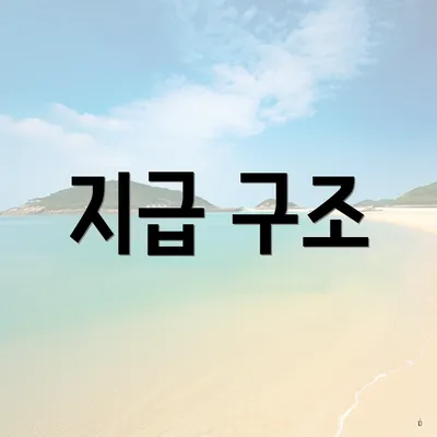 지급 구조