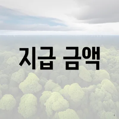 지급 금액