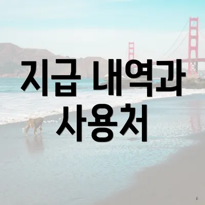 지급 내역과 사용처