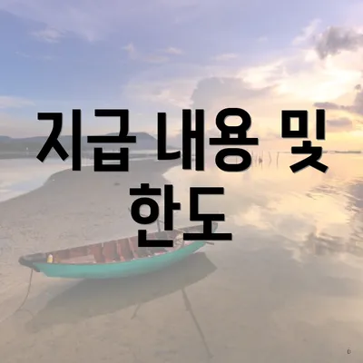 지급 내용 및 한도