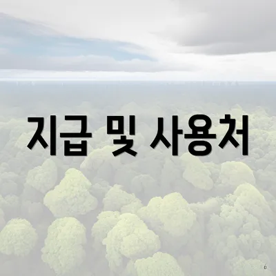 지급 및 사용처