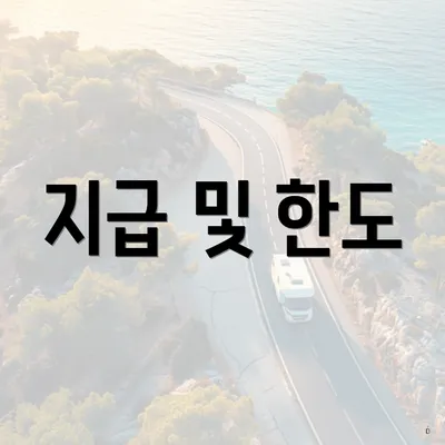 지급 및 한도