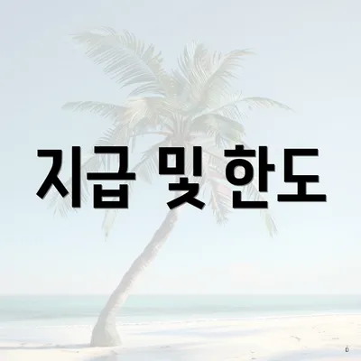 지급 및 한도
