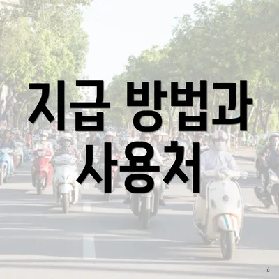 지급 방법과 사용처