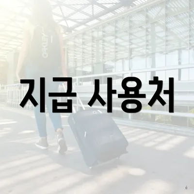 지급 사용처