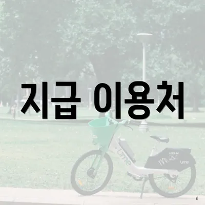 지급 이용처