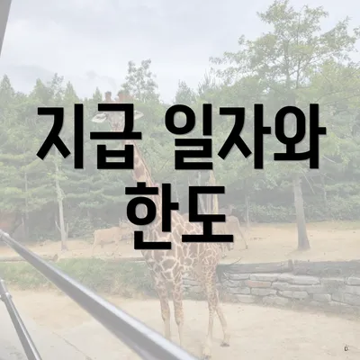 지급 일자와 한도