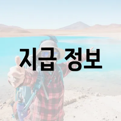 지급 정보