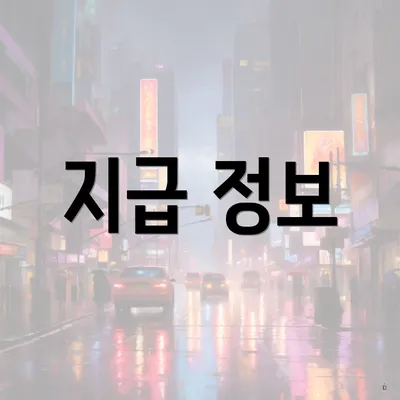 지급 정보
