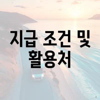 지급 조건 및 활용처