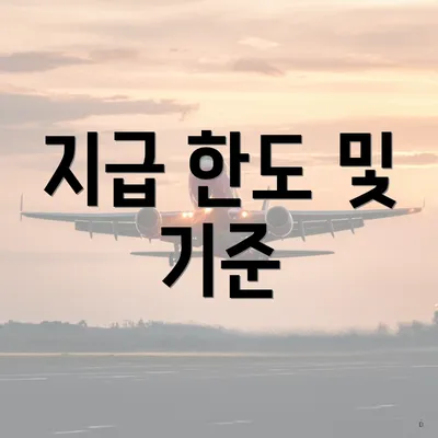 지급 한도 및 기준