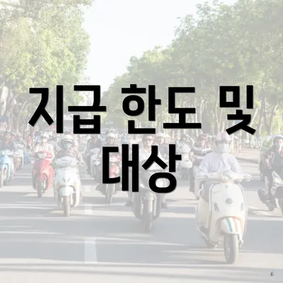 지급 한도 및 대상