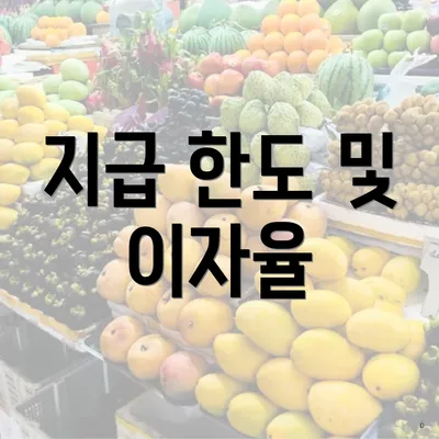 지급 한도 및 이자율