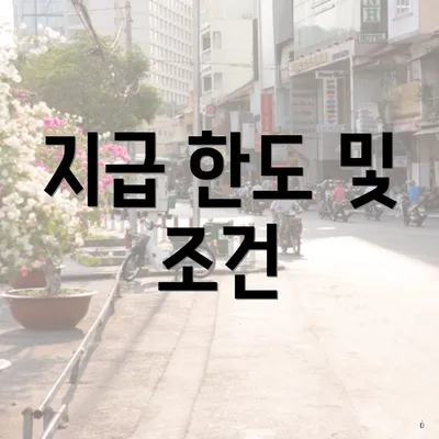 지급 한도 및 조건