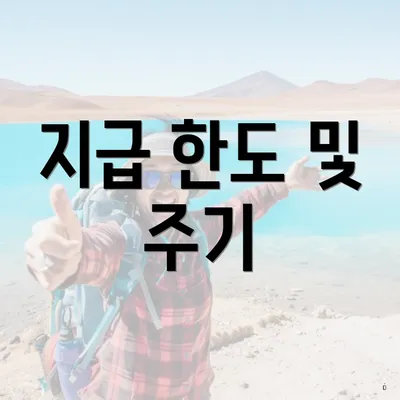 지급 한도 및 주기