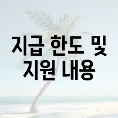 지급 한도 및 지원 내용