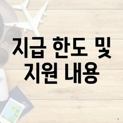지급 한도 및 지원 내용