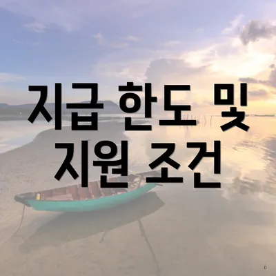 지급 한도 및 지원 조건