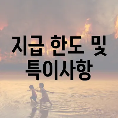 지급 한도 및 특이사항