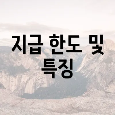 지급 한도 및 특징