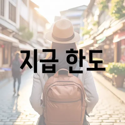 지급 한도