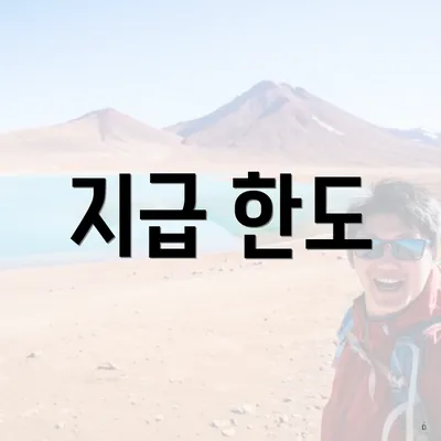지급 한도