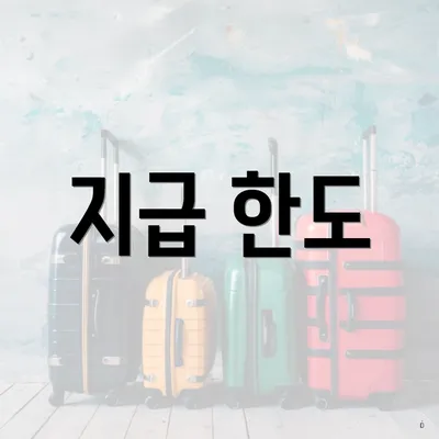 지급 한도