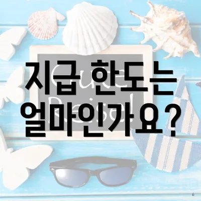 지급 한도는 얼마인가요?