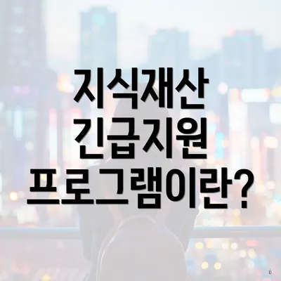 지식재산 긴급지원 프로그램이란?