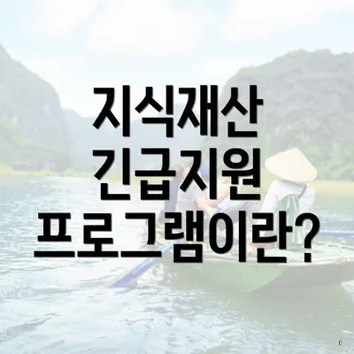 지식재산 긴급지원 프로그램이란?