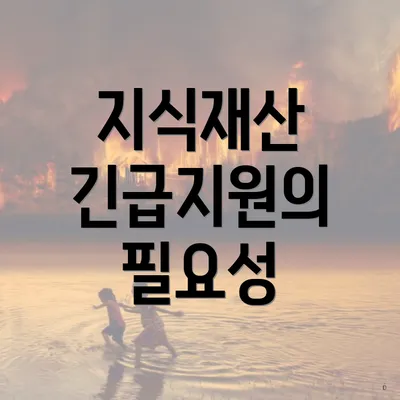 지식재산 긴급지원의 필요성