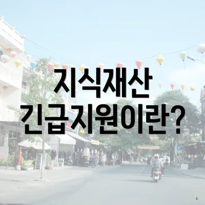 지식재산 긴급지원이란?
